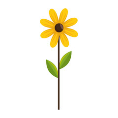 Obraz premium beauty sunflower isolated icon