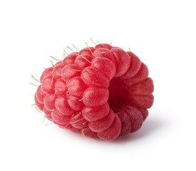 raspberry
