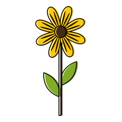 beauty sunflower isolated icon