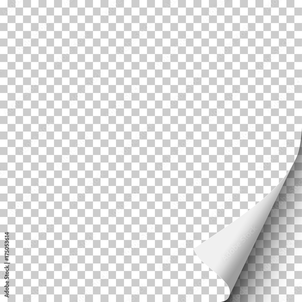 Wall mural vector transparent paper with curled lower right corner and soft shadow. template paper design.
