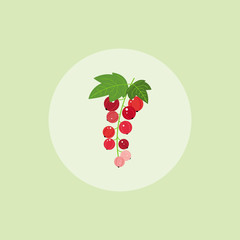 Red Currant Icon. Vector illustration