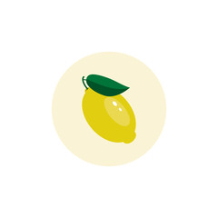 Single image of a lemon. Vector illustration. icon