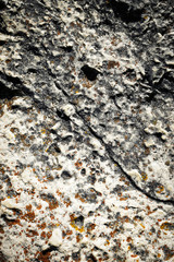 limestone detail with orange moss