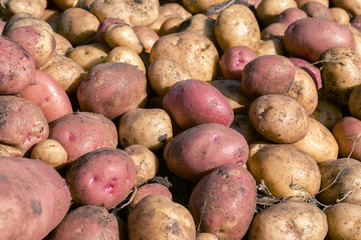 Potatoes