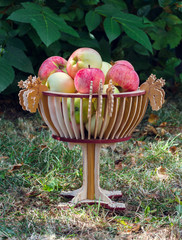 Vase with apples