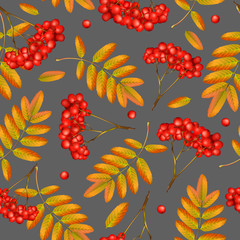 Seamless vector autumn pattern with rowan branch, orange leaves and red berries. Realistic 3d mesh rowan branch seamless vector autumn pattern. Fall colorful floral background. Vector illustration