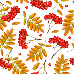 Seamless vector autumn pattern with rowan branch, orange leaves and red berries. Realistic 3d mesh rowan branch seamless vector autumn pattern. Fall colorful floral background. Vector illustration