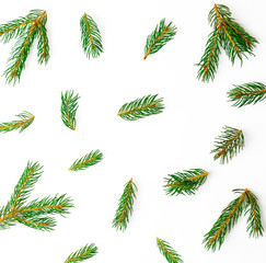 Christmas pattern of green branches