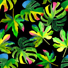 Fototapeta na wymiar Seamless floral pattern with stylized watercolor exotic leaves of fastia Japonica and monstera deliciosa. Colorful jungle foliage on black background. Textile design.