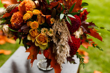 Colorful autumn chrysanthemums with flares, floral background