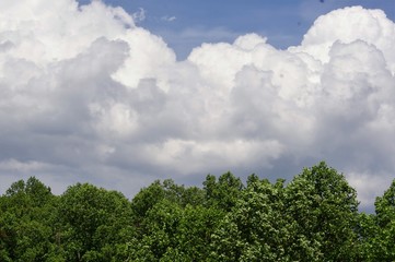 Obraz premium Sky with clouds