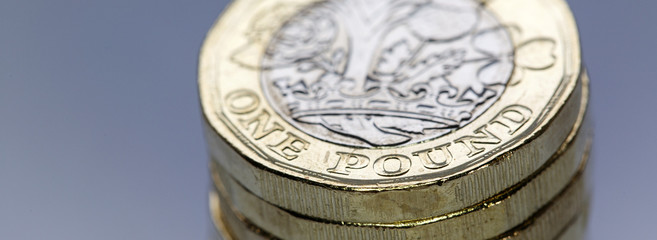 One pound coin in a panormic format with detail on the reverse side
