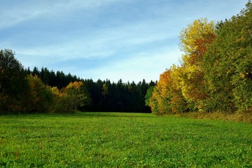 landschaft im herbst