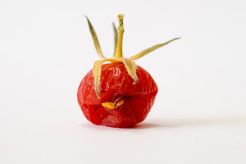 Close-up of overripe and torn wild tomato I
