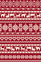 猫のノルデックボーダー