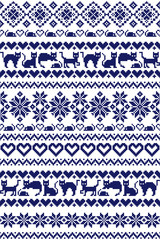 猫のノルデックボーダー