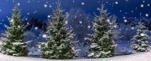 Naklejka na ściany i meble Winter night panoramic landscape. Christmas trees covered with snow. Fairy-tale snow and festive mood