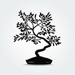 Bonsai tree in pot .Vector illustration.