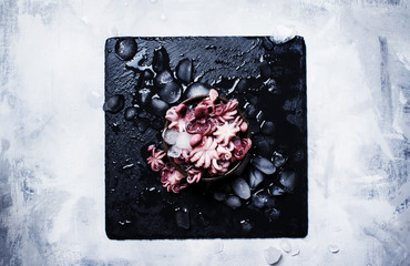 Small octopus in crushed ice, food background, top view