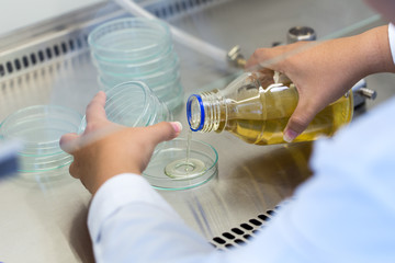 Scientist performing microbial tests in Biological safety cabinets lab.