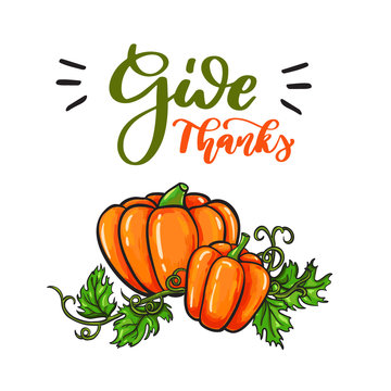 Thanksgiving day vector card with handwritten lettering. Decorat