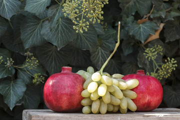 grapes, pomegranate against a background of green ivy
