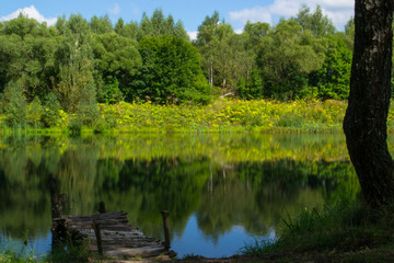 Fototapeta na wymiar A little lake in the forest