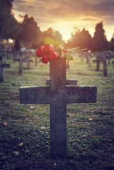 There are plenty of tombstones in the cemetery - 175066636
