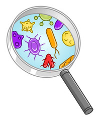 Microbes and magnifying glass