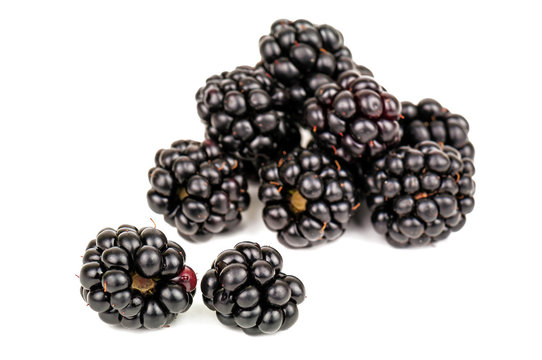 heap of ripe blackberry isolated