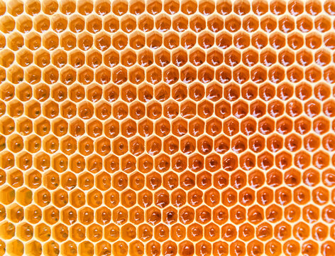 honeycomb as a texture