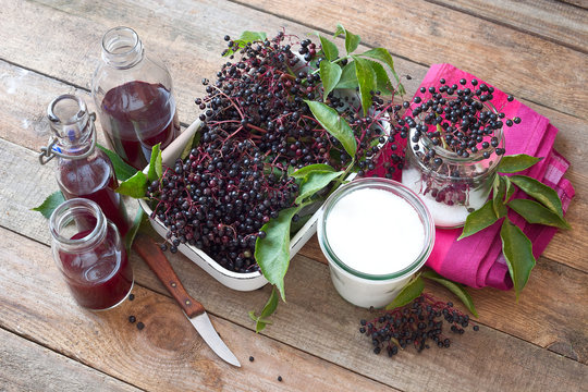 Holunder- Beeren einkochen