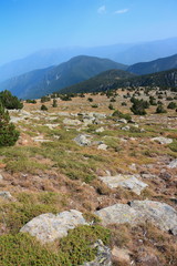 Fototapeta na wymiar landscape in Pyrenees orientales, Conflent region of Roussillon in South of France