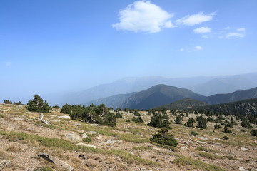 landscape in Pyrenees orientales, Conflent region of Roussillon in South of France