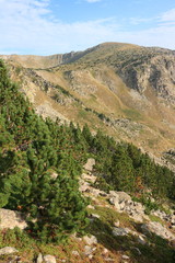 Fototapeta na wymiar landscape in Pyrenees orientales, Conflent region of Roussillon in South of France