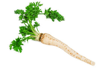 parsley root isolated