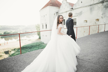 Beautiful romantic wedding couple of newlyweds hugging near old castle