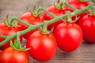 ripe cherry tomato twig