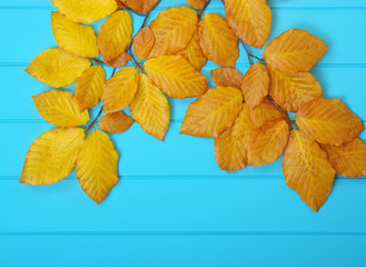  autumn leaves on wood