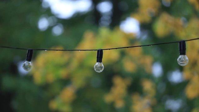 Electric lamp illumination at outdoor with yellow autumn tree on background 