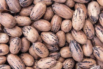 texture of pecan nuts