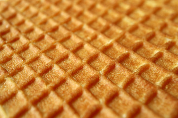 Closed up texture of Dutch traditional sweets, Stroopwafel with selective focus for background and banner 