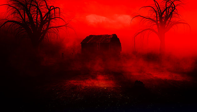 horror halloween abandoned old house in creepy night forest.	