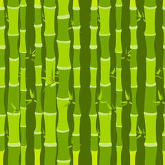 Green bamboo forest in hand drawn style. Seamless pattern.