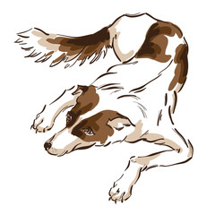 Vector hand draw illustration of cute dog on white background for calendar, banner or placard. Symbol of chinese new year 2018.