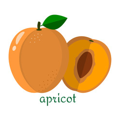 Apricot icon in flat style isolated on white background.