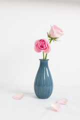 Pink rose