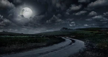 Foto op Plexiglas Rural road through the meadow at night against the background of the big moon © Vitaly Krivosheev