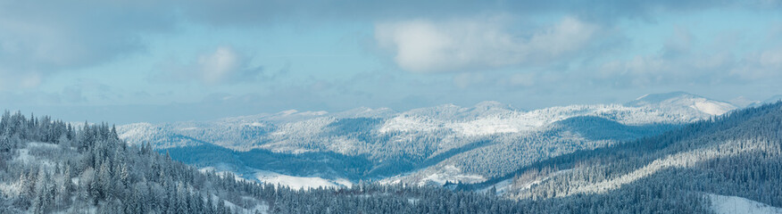 Obraz premium Winter Carpathian Mountains landscape.