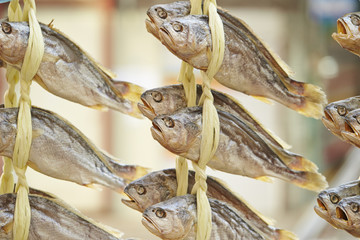 dried yellow corvina 